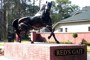 Red's Gait